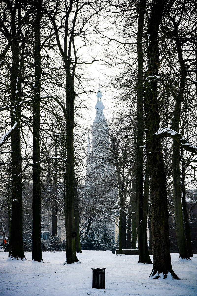 cold, architecture, nature, canon, tranquility, no people, white, bare tree, church, outdoors, cloudy, breda, misty, dream, old, snow, snowing, building exterior