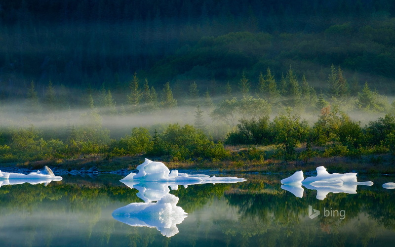 travel destinations, day, bing, national, kenai, tranquility, water, fjords, tree, desktop, outdoors, transportation, reflection, plant, park, nature, beauty in nature