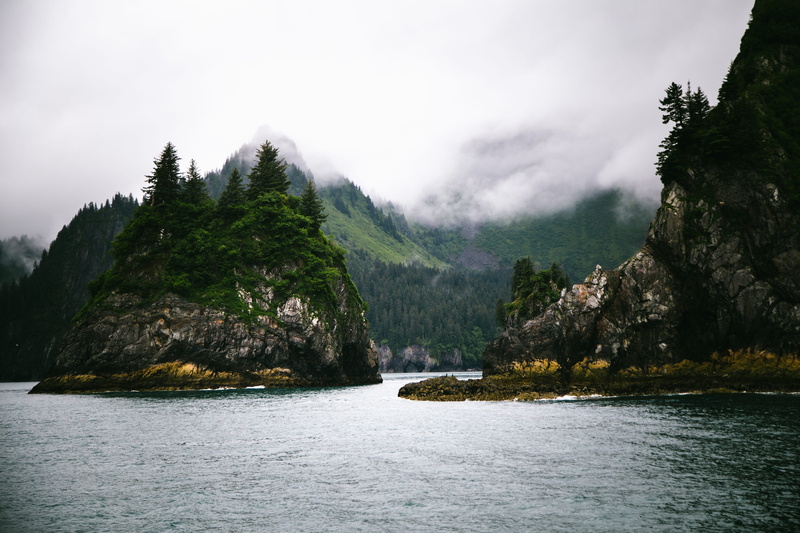 kenai fjords, mountain, sky, ocean, day, tree, hill, tranquil scene, plant, non-urban scene, rock, fir, vegetation, tranquility, mountain range, pine, coniferous tree