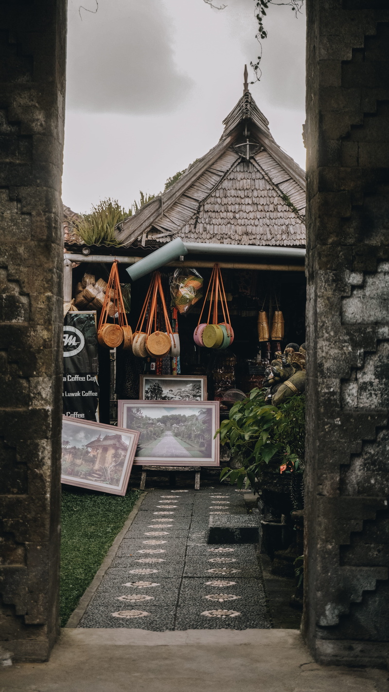 potted plant, indonesia, building exterior, spirituality, bali, building, hanging, pottery, market, communication, collectibles, house, plant, handbag