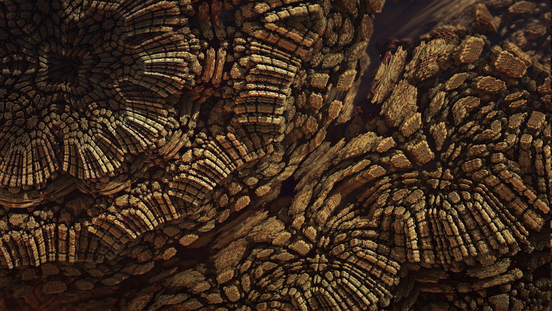 solid, pattern, rock - object, close-up, textured, beauty in nature, rock, nature, abstract size records, geology, plant, 2K, tree, full frame, no people
