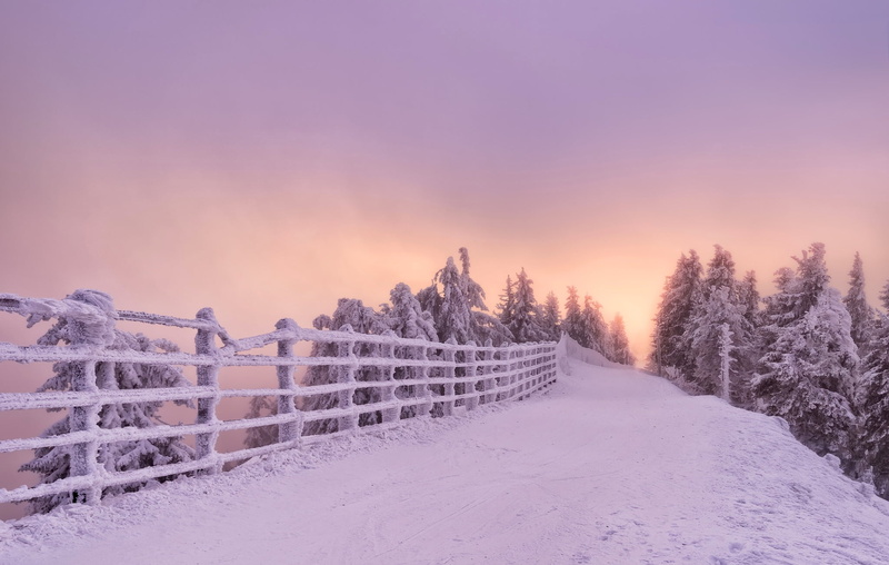 land, snow, tranquility, Romania, trees, Brasov, snowcapped mountain, covering, winter, idyllic, no people, outdoors, nature, white color, frozen, 1080P