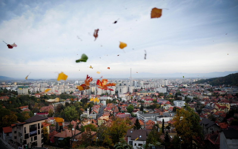crowd, outdoors, building, green, cities, settlement, leafed, 2K, community, townscape, widescreen, crowded, tree, brasov, architecture, cityscape