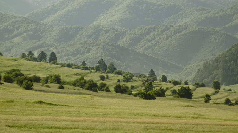 house, nature landscape, tranquility, 4K, the image i need, day, grass, no people, remote, brasov, rural scene, environment, nature, hill, landscape