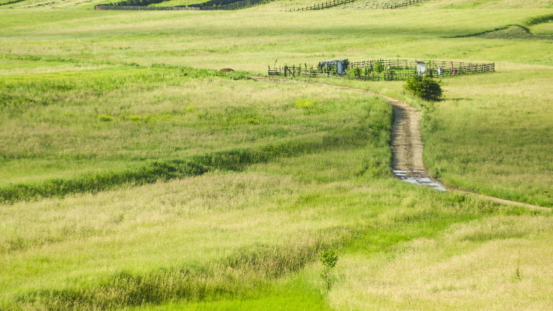 non-urban scene, landscape, photography, nature, field, plant, rural scene, grass, brasov, ruined, tranquility, landscape, land, environment