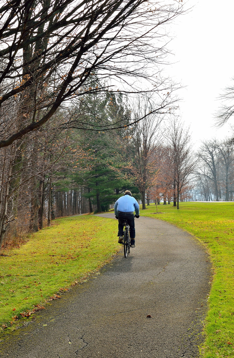 sport, diminishing perspective, 5K, plant, lifestyles, real people, winter, recreation, day, biking, mode of transportation, pedal, rear view, spoke, ride