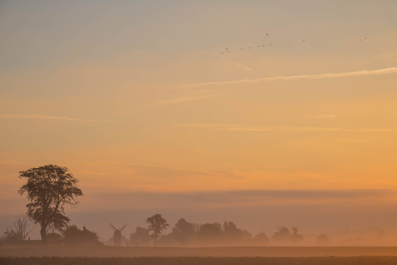 morgon, dusk, countryside, fog, view, sunset, Misty, photograph, landskap, sunrise, outdoors, landscape, tree, 5K, dimma, dawn, morning, mist, nature