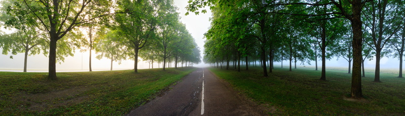8K, M  11, outdoors, Sunrise, green forest, Summer, Uppsala, Sala, Canon  EF-M, Sweden, Scandinavia, Sverige, M 11, Canon EOS M3, Landscape, Mist, Panorama