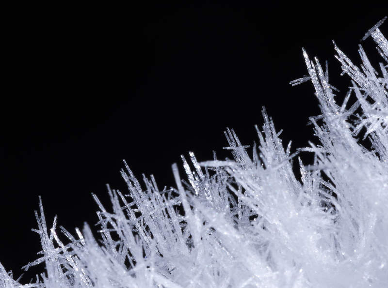 studio shot, abstract, white color, ice, cold temperature, icicle, Aero, holiday, copy space, bright, crystals, night, outdoors, plant, nature, Frozen