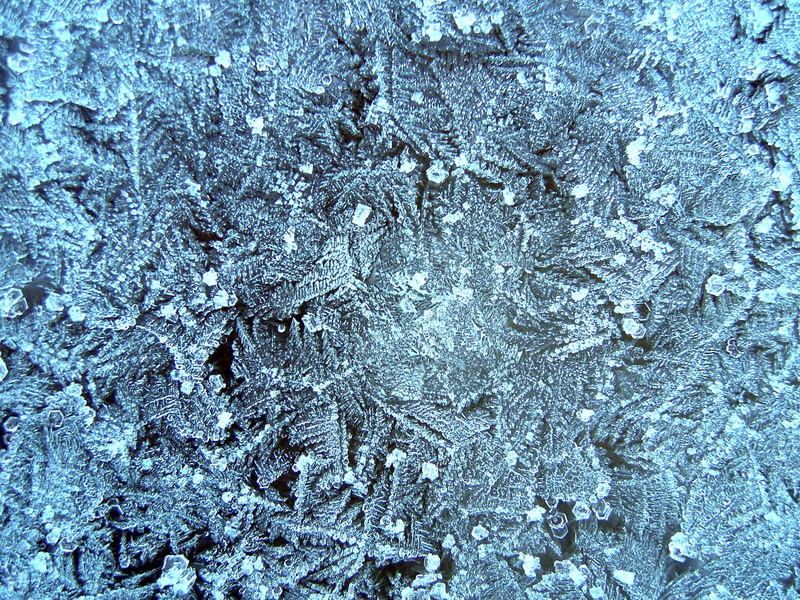 rime, finnish, rainy-d flower, frost, icy, winter, textured effect, abstract, water, frosty landscape, nature, no people, abstract backgrounds, close-up