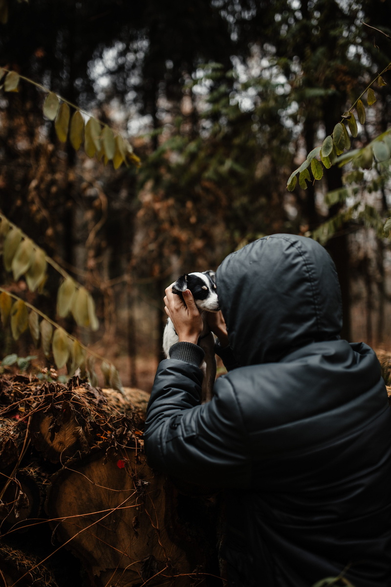 photographing, three quarter length, nature, fog, leisure activity, woods, real people, one person, november, plant part, day, plant, leaf, fall, outdoors