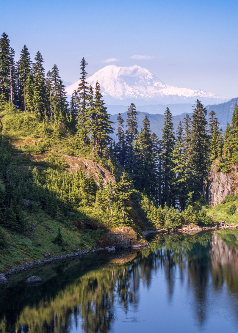 idyllic, reflection, valley, clear, land, non-urban scene, conifer, green color, Mt. Rainier, scenics - nature, lake, tranquility, mountain, growth, 4K