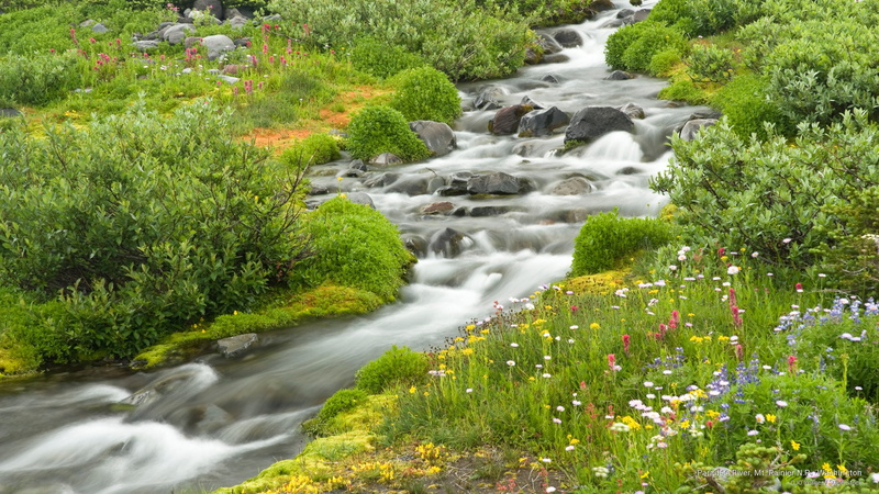 river, p, n, paradise, washington, Spring/Summer, rainier, mt, 2K