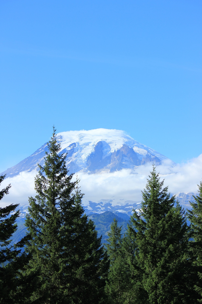 snowcapped mountain, mountain peak, trees, green, idyllic, range, day, growth, snow, plant, mt, winter, coniferous tree, pacific, no people, green color