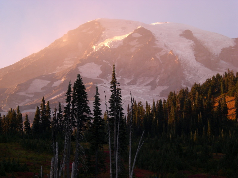 tranquility, coniferous tree, beauty in nature, non-urban scene, scenics - nature, pine woodland, mountain peak, rainier washington, land, snow, sky, trees