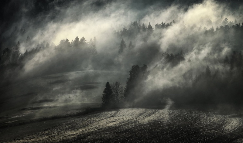 cloud - sky, tree, plant, landscape, non-urban scene, scenics - nature, storm, outdoors, 720P, dark, atmosphere, beauty in nature, morning, no people