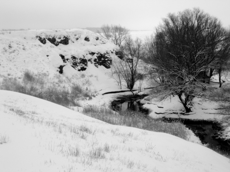 covering, plant, field, environment, trees, outdoors, land, 2K, cold, beauty in nature, non-urban scene, sky, white, freshness, river, tranquil scene
