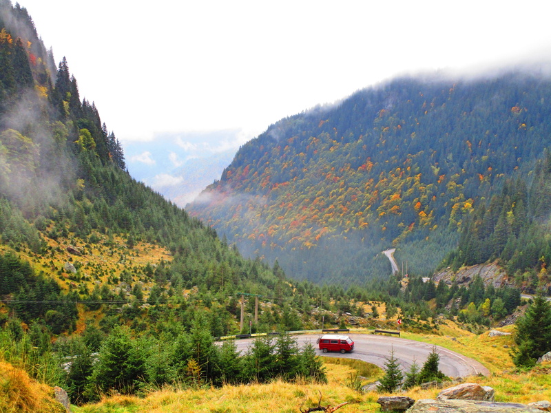 environment, transalpina, non-urban scene, scenics - nature, romania, forest, no people, 5K, nature, plant, mountain, land, landscape, tranquil scene
