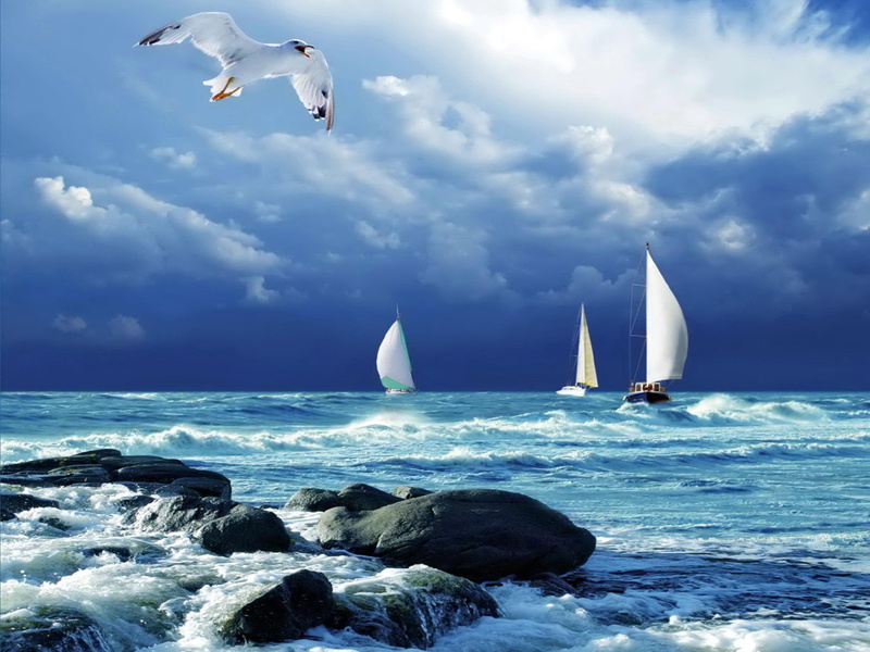 yachts, 1080P, rough, water, blue, clouds, sea, nice, waves, vector, shore, beautiful, lovely, beach