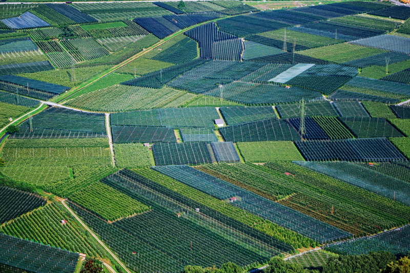 pattern, day, aerial view, farm, patchwork landscape, field, environment, rural scene, plantation, beauty in nature, fields, 4K, environmental conservation