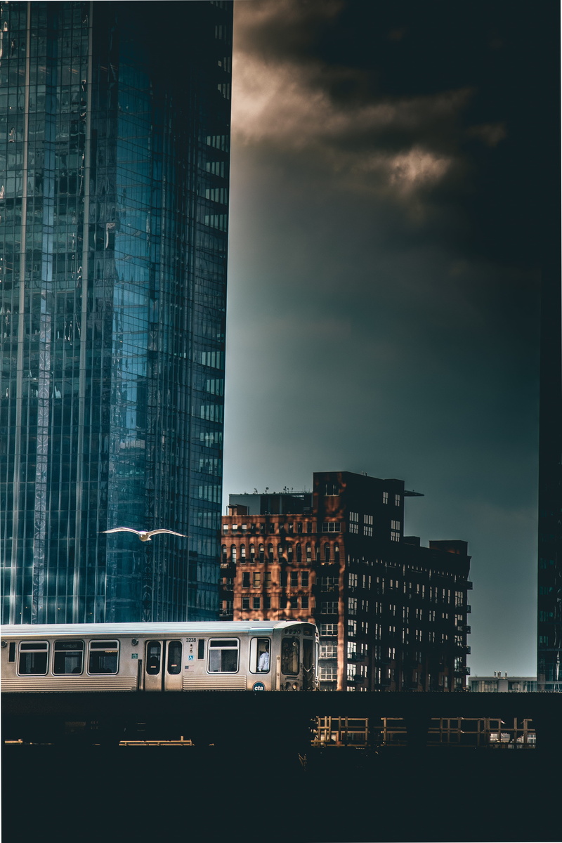 contrast, flying, skyscraper, near, no people, cityscape, sky, building, dusk, city, train, modern, along, bird, public transportation, office building exterior