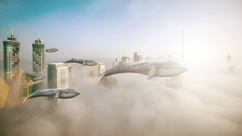 bird, travel destinations, no people, built structure, buildings, high, urban Scene, skyscraper, city, digital composite, the city, cloud - Sky