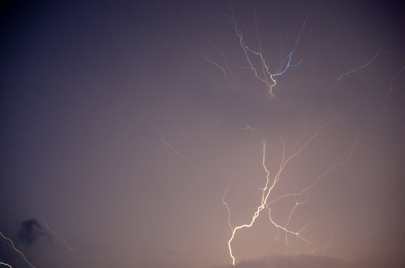 nature, purple, forked lightning, light, lightning, bolt, rain, power, environment, strike, no people, bare tree, illuminated, outdoors, electricity, thunderstorm