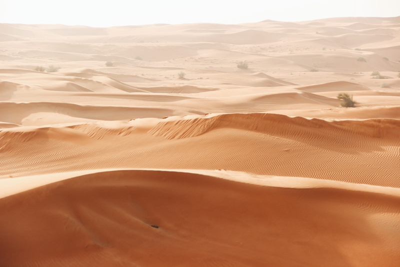 environment, landscape, dunes, land, sand, sand dune, desert, layers, travel destinations, outdoors, scenics - nature, field, dune, non-urban scene, nature