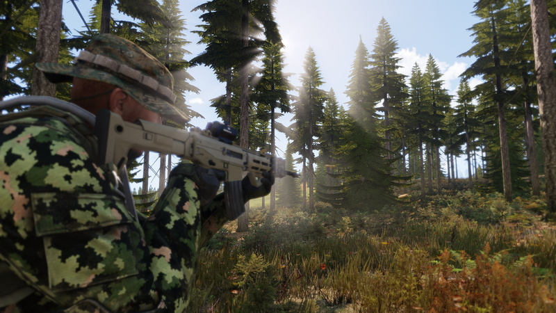 three quarter length, sky, tree, beauty in nature, woodland, outdoors, tranquility, green color, 1080P, nature, Arma 3, tranquil scene, chernarus, military