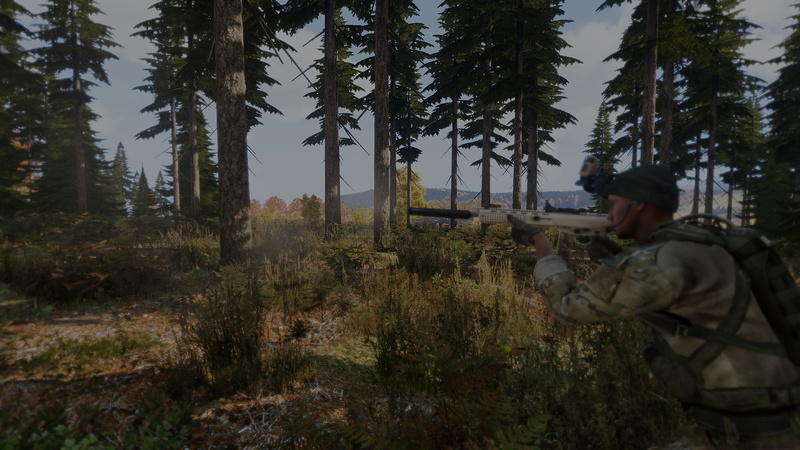 chernarus, real people, woodland, tree, activity, photographer, men, Arma 3, sky, leisure activity, forest, camera - photographic equipment, lifestyles