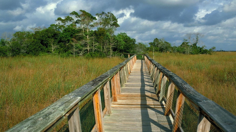 national park, florida, boardwalk, everglades, 1080P, dock, nature, 1920x1080, mahogany hammock trail, wooden, gray, trail, mahogany, hammock
