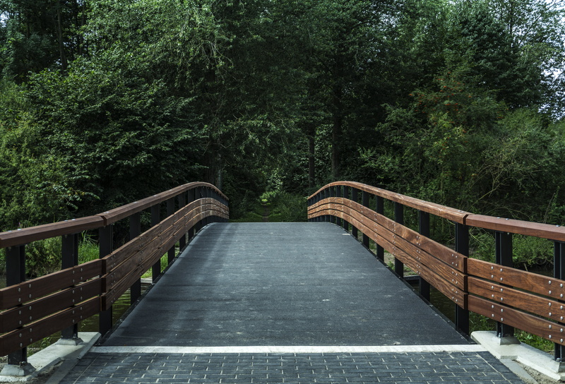 woodland, built structure, architecture, transportation, river, connection, green Color, wood - Material, tree, park - Man Made Space, black, forest, the way forward
