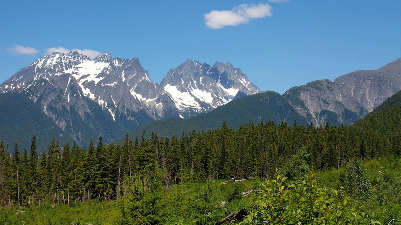 idyllic, no people, panorama, cloud, 1080P, pine tree, park, green color, trees, non-urban scene, land, summer, rock, peak, environment, range, valley