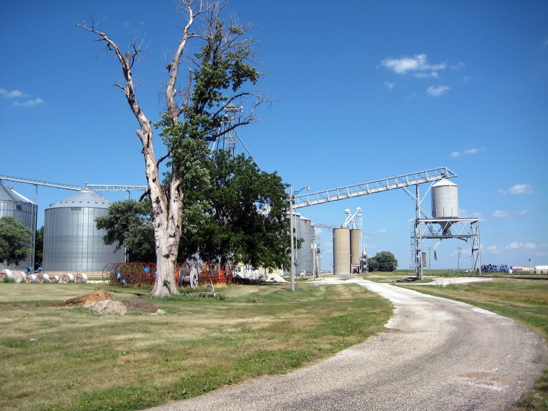 building exterior, sky, blue, trees, plant, sciota, outdoors, countryside, nature, storage, grain elevator, grass, sunlight, tree, summer, city, built structure