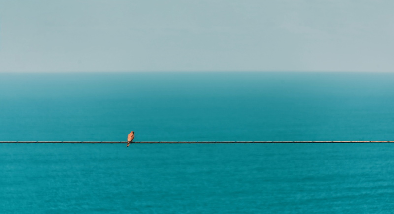 sea, tranquility, waterfront, clear sky, outdoors, sky, tranquil scene, bord, spain, copy space, nature, one person, 8K, horizon over water, scenics - nature