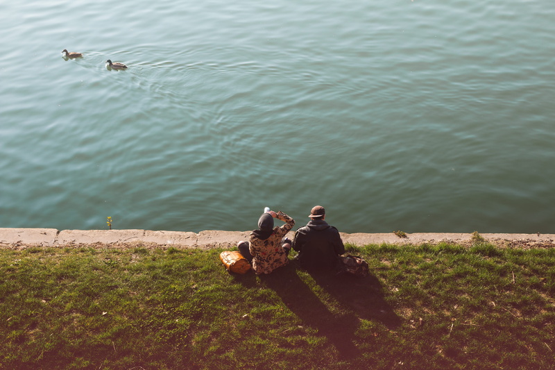 duck, nature, animal, lawn, real people, animal wildlife, lifestyles, two people, vertebrate, men, outdoors, high angle view, animals in the wild, bird
