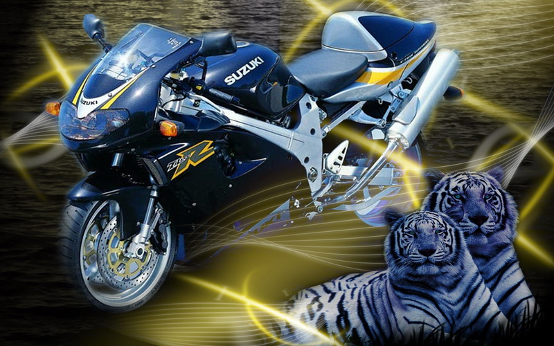 SuzukiTL1000-R, suzuki, motorcycles, Motorbike, suzukitl, 720P, Abtract, hd, Blue, r, tigers, art, Cool
