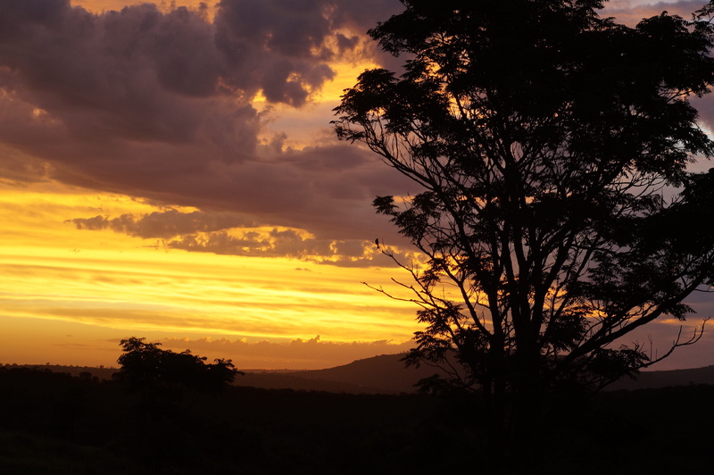 silhouette, forest, environment, tranquil scene, clouds, butterworth, no people, sunset, landscape, cloud - sky, golden sky, heaven, outdoors, beauty in nature