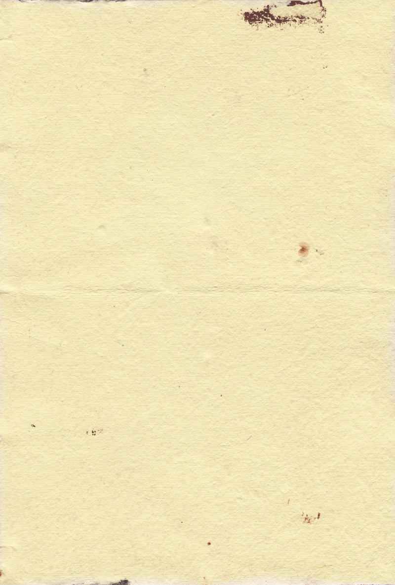 paint, grunge, no people, textured, animal themes, bird, animal, high angle view, wall - building feature, building exterior, beige, full frame, copy space