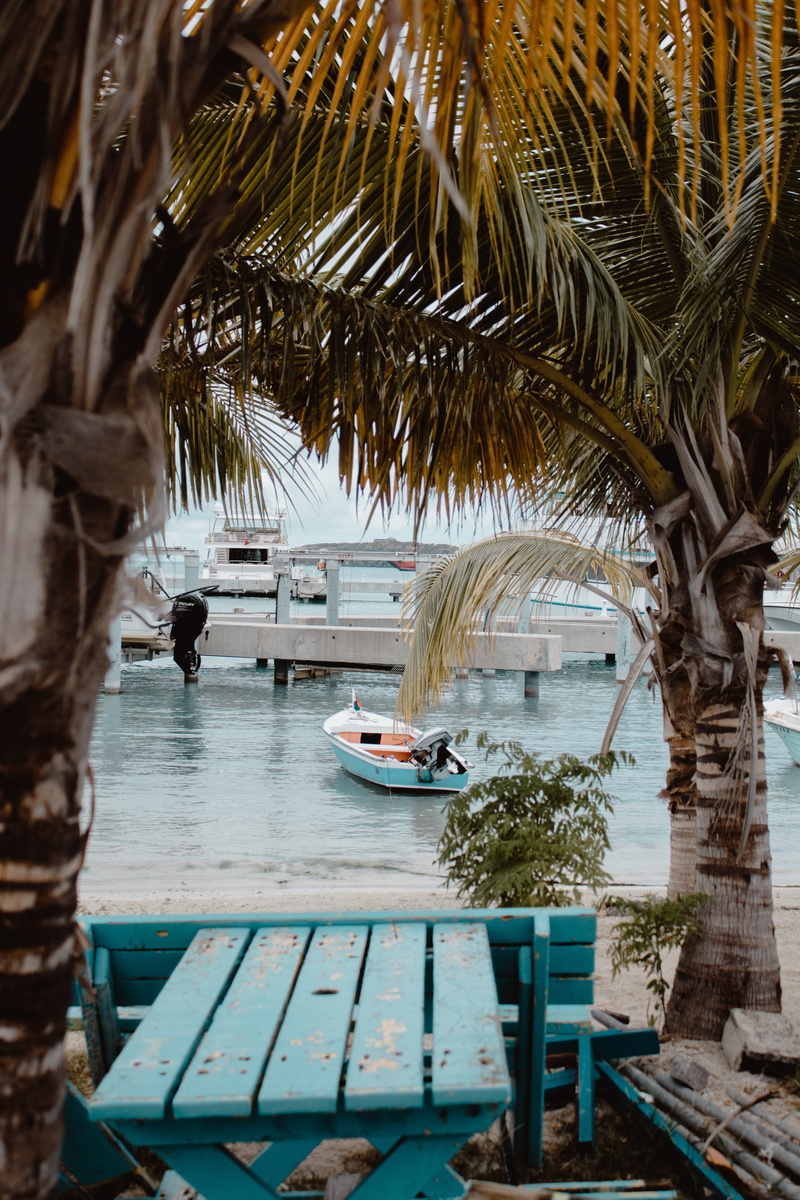 body, travel, built structure, clinker, mode of transportation, tropical climate, plant, nature, white, tree, sea, men, outdoors, architecture, water, boat