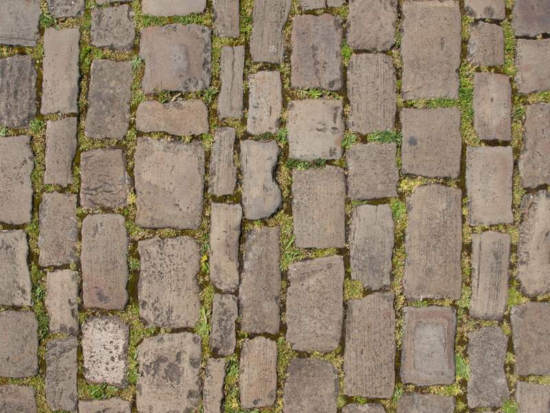 structure, high angle view, Cobblestones, Patch, Away, green color, footpath, design, overgrown, day, textured, background, 2K, street, arrangement, concrete