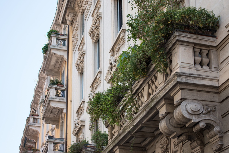 city, building exterior, 2K, residential district, ornate, craft, growth, tree, outdoors, milan, low angle view, sky, balcony, building, hauswand, architecture