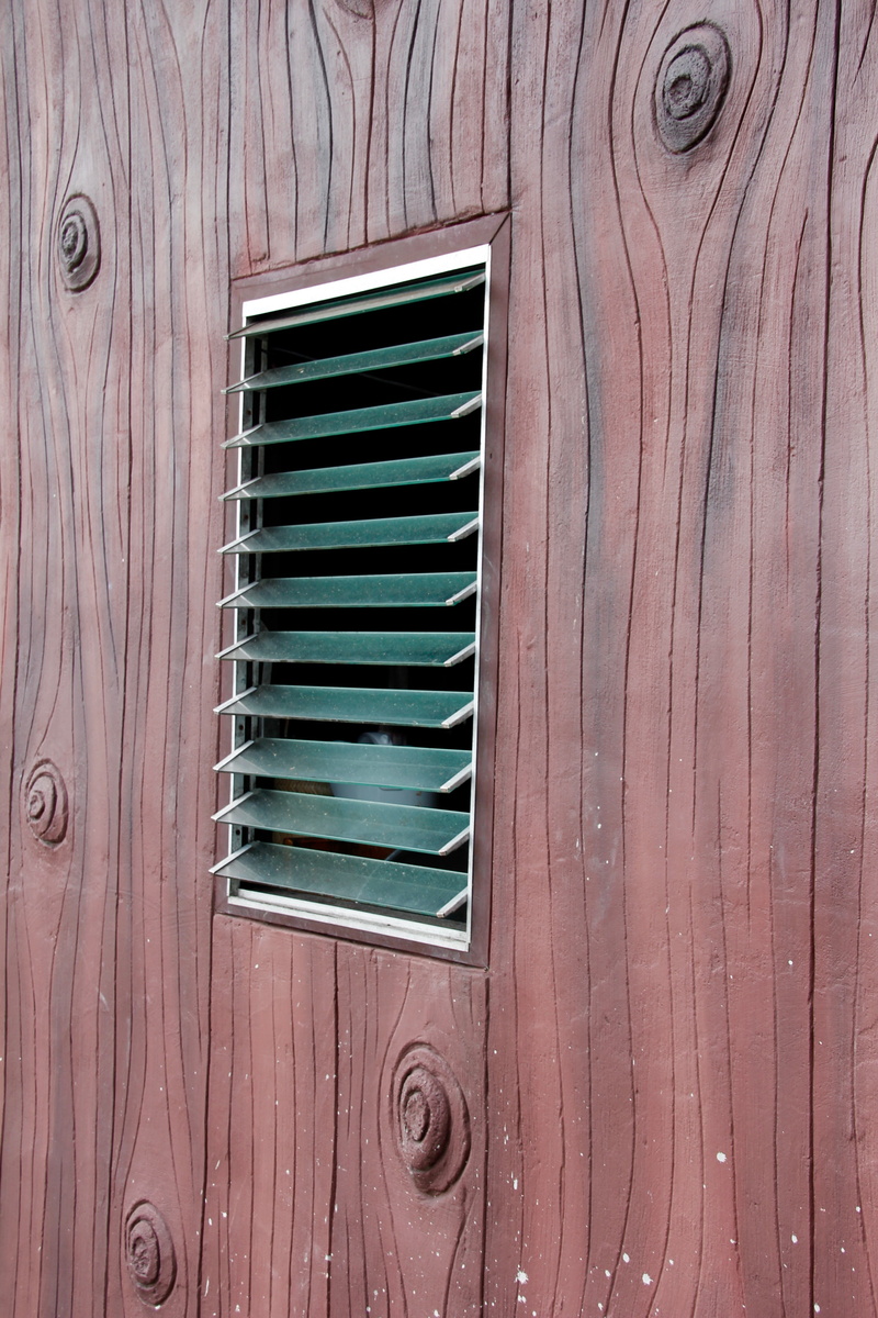 building exterior, no people, wall, closed, hauswand, window, built structure, wood, ventilation, 5K, backgrounds, textured, pattern, security, shape