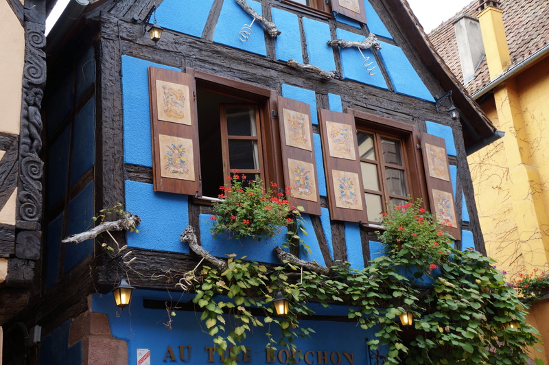 outdoors, france, alsace, plant, hauswand, low angle view, nature, winstub, residential district, window box, decoration, window, communication, day, growth