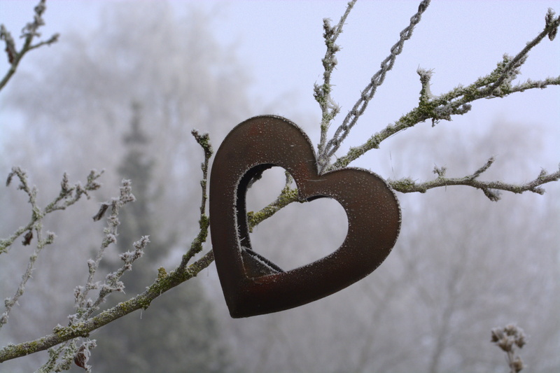 Icy, winter magic, romance, Frozen, Cold, outdoors, 5K, Heart, season, deco, metal, love, design, Winter, nature, cold - Temperature, cold, snow, heart shape