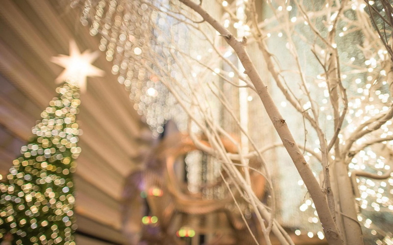 city, bokeh, francisco, lights, san, 720P, christmas, tree
