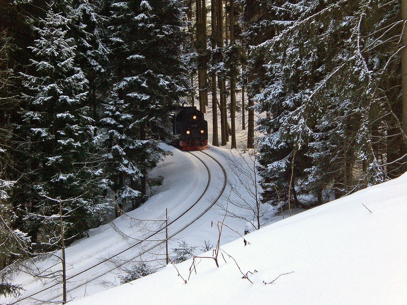 covered, 1080P, snow, trees, environment, snowcapped mountain, snowing, brocken railway, day, tranquil scene, cold temperature, resin, beauty in nature