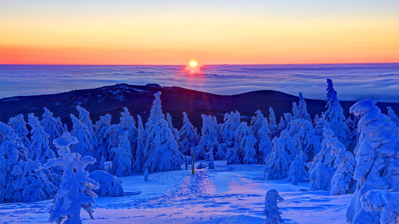 1080P, winter, top, forest, sunrise, dawn, Germany, the Brocken mountain, geroeva, the sun, Saxony-Anhalt, snow