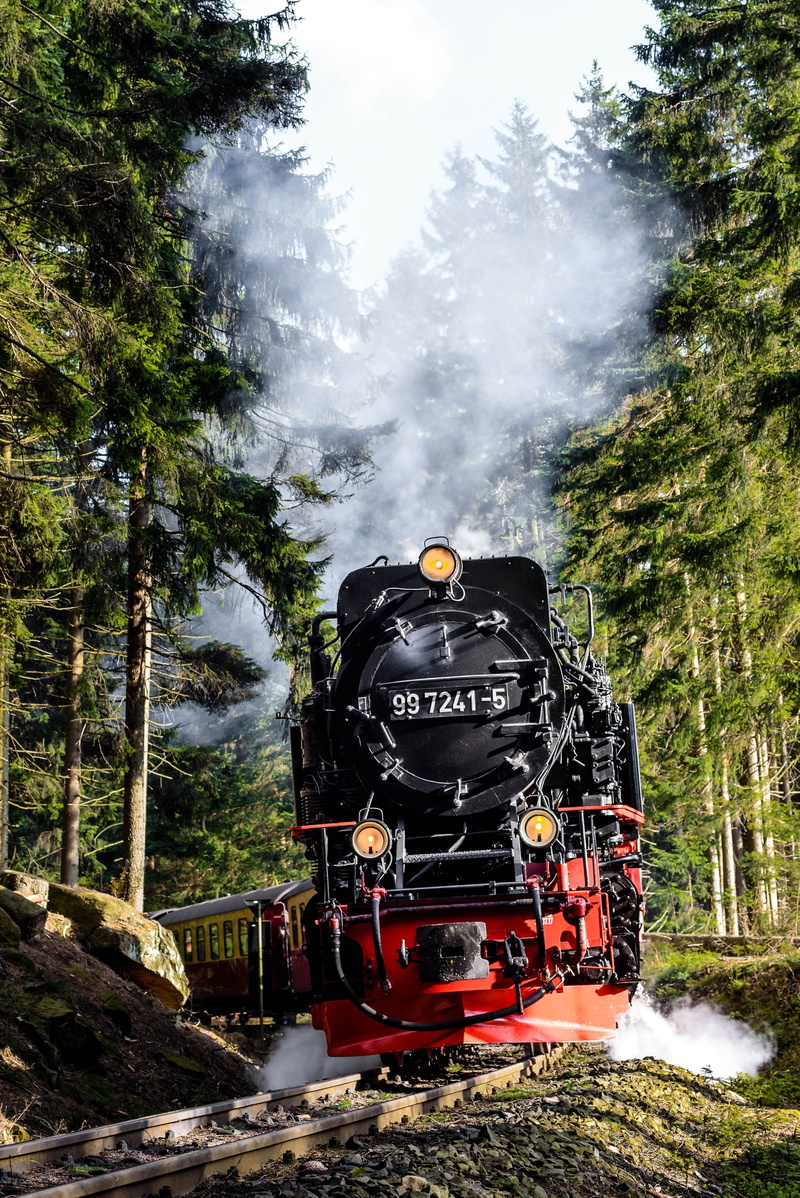 4K, landscape, public transportation, mode of transportation, autumn, land, passenger train, railroad track, steam train, smoke - physical structure, tree