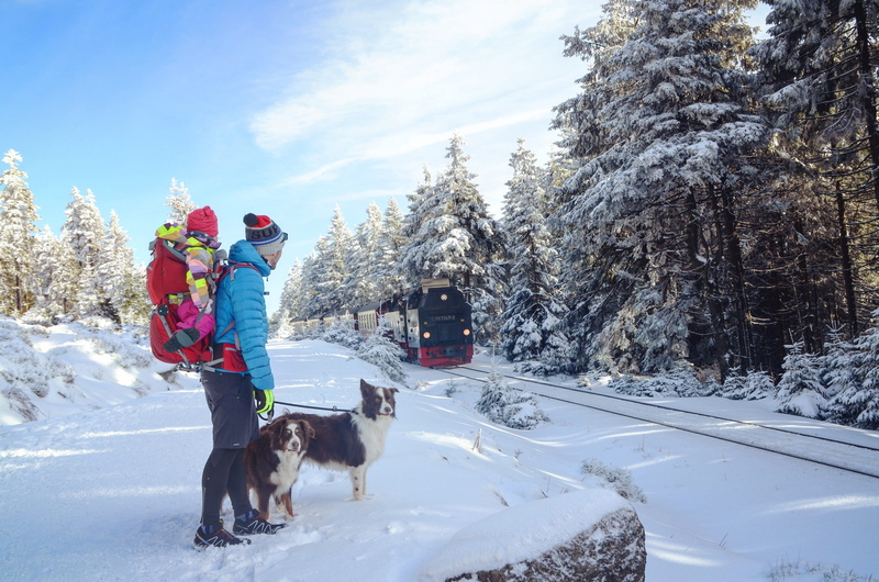two, warm clothing, white, harz, dogs, brocken, pet owner, pets, baby, full length, back, holding, brown, domestic animals, tree, domestic, canine, el